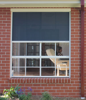 Privacy Weather Screens